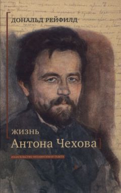 Брайан Бойд - Владимир Набоков: русские годы