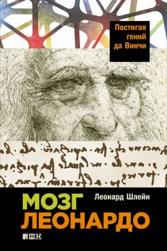 Джина Риппон - Гендерный мозг. Современная нейробиология развенчивает миф о женском мозге