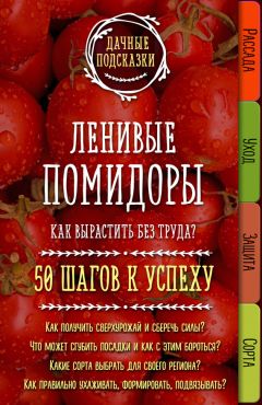 Светлана Ращупкина - Заборы, ограды, калитки и ворота на дачном участке