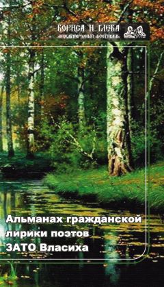  Коллектив авторов - Альманах гражданской лирики поэтов ЗАТО Власиха