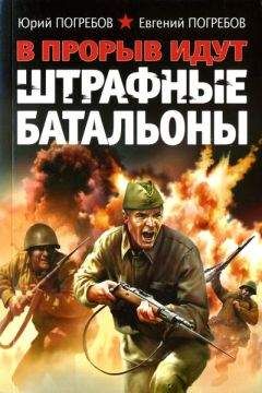 Сергей Михеенков - Из штрафников в гвардейцы. Искупившие кровью