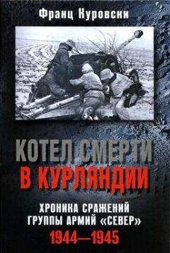 Франц Куровски - Черный крест и красная звезда. Воздушная война над Россией. 1941–1944