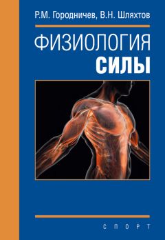 Ольга Иванищева - Диалог с читателем. Печатные СМИ Мурманской области в информационном пространстве региона