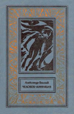 Александр Етоев - Человек из паутины