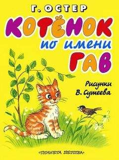 Андрей Зинчук - «Вперед, Котенок!» и другие... Сказки для театра [С иллюстрациями]