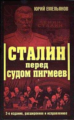 Юркй Емельянов - Сталин перед судом пигмеев