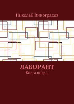 Николай Виноградов - Лаборант. Книга вторая