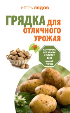 Светлана Ларина - Сверхурожай легко и быстро. Правила и техники