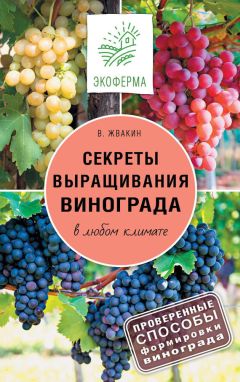 Екатерина Животовская - Виноградник на вашем участке