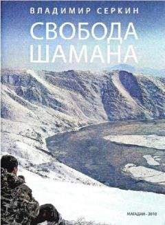 Серж Кинг - Городской шаман