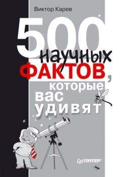 Анне Свердруп-Тайгесон - Планета насекомых: странные, прекрасные, незаменимые существа, которые заставляют наш мир вращаться