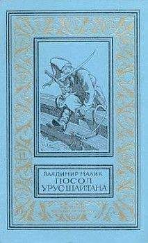 Михаил Шевердин - Набат. Книга первая: Паутина