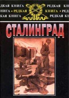 Константин Семенов - Политические солдаты Гитлера