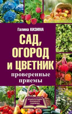 Галина Кизима - Все ответы на вопросы о саде