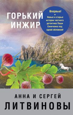 Анна и Сергей Литвиновы - Миллион на три не делится (сборник)