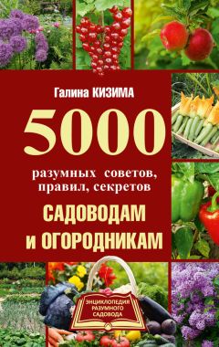 Геннадий Распопов - Как создать экосад и сохранить здоровье. Советы врача и садовода с 40-летним стажем!