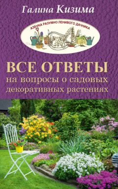 Галина Кизима - Однолетние цветы рукотворной красоты