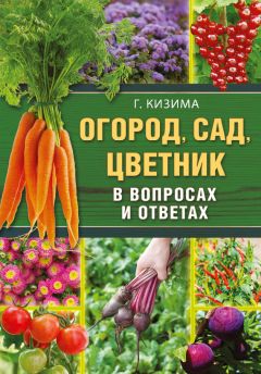 Галина Кизима - Годовой цикл работ в саду и огороде