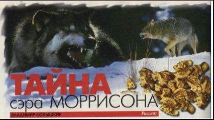 Владимир Неволин - Иметь королеву