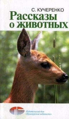 Сергей Корытин - Повадки диких зверей