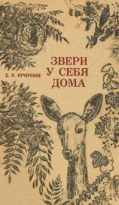 Сергей Кучеренко - Встречи с амурским тигром