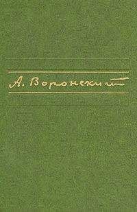 Александр Воронский - Бомбы