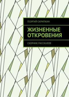Георгий Скрипкин - Жизненные откровения. Сборник рассказов