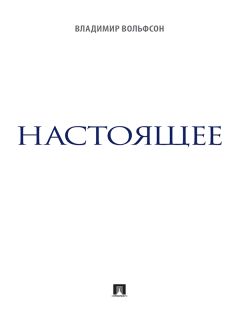 Владимир Вольфсон - Настоящее