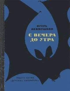 Михаил Ильин - Воспоминания юнги Захара Загадкина