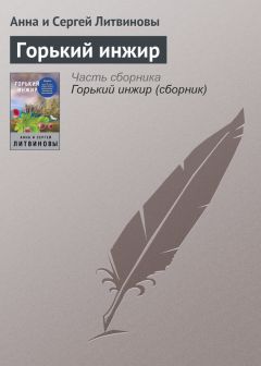 Анна и Сергей Литвиновы - Экклезиаст ведет расследование