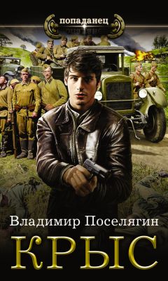 Владимир Поселягин - Командир Красной Армии: Командир Красной Армии. Офицер Красной Армии