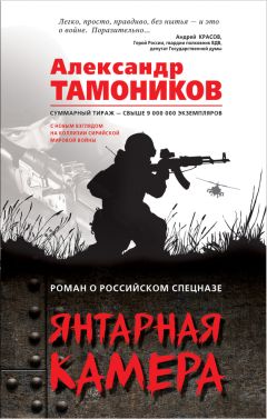 Александр Тамоников - Он, она и патроны