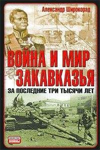 Александр Тизенгаузен - Опиумные войны. Обзор войн европейцев против Китая в 1840–1842, 1856–1858, 1859 и 1860 годах