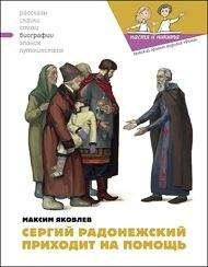 Саида Сахарова - Академия домашних волшебников,