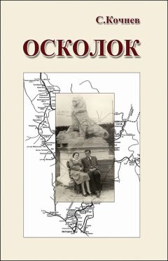 Александр Щербаков-Ижевский - Исходная точка. Серия «Бессмертный полк»