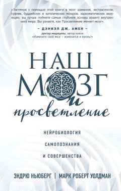 Марк Уолдман - Наш мозг и просветление. Нейробиология самопознания и совершенства