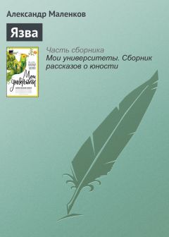 Лев Кокин - Семинар Петровского