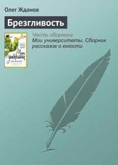 Александр Жданов - Пятый постулат