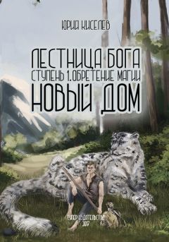 Сергей Садов - Ледяная Принцесса. Путь власти