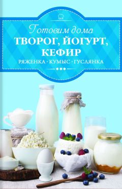 Николай Онучин - Кефирный и йогуртовый лечебник. Простой и легкий путь к здоровью и долголетию