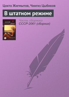 Цокто Жигмытов - В штатном режиме