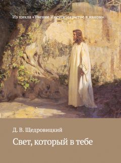 Дмитрий Семеник - Разобраться в себе. Как справиться с духовными проблемами