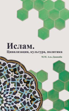 Мехди Санаи - Мусульманское право и политика. История и современность