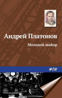 Андрей Платонов - Домашний очаг