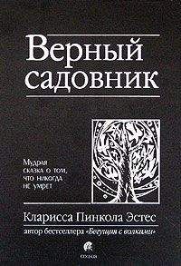 Такэси Иноуэ - Сокровенное желание