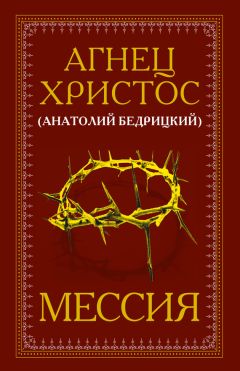 Владимир Красиков - Библия как реальность. Предельные значения библейских картин мира