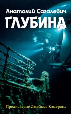 Е. Виноградова - Экологические преступления: вопросы квалификации и юрисдикции. 2017 год – год экологии в России