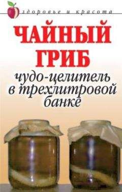 Валерия Янис - 100 рецептов очищения. Имбирь, вода, тибетский гриб, чайный гриб