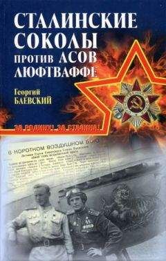 Евгений Полищук - «Ахтунг! Покрышкин в воздухе!». «Сталинский сокол» № 1