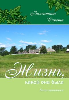 Кира Витальева - 17 лет строго креативного режима. Территория Матфака